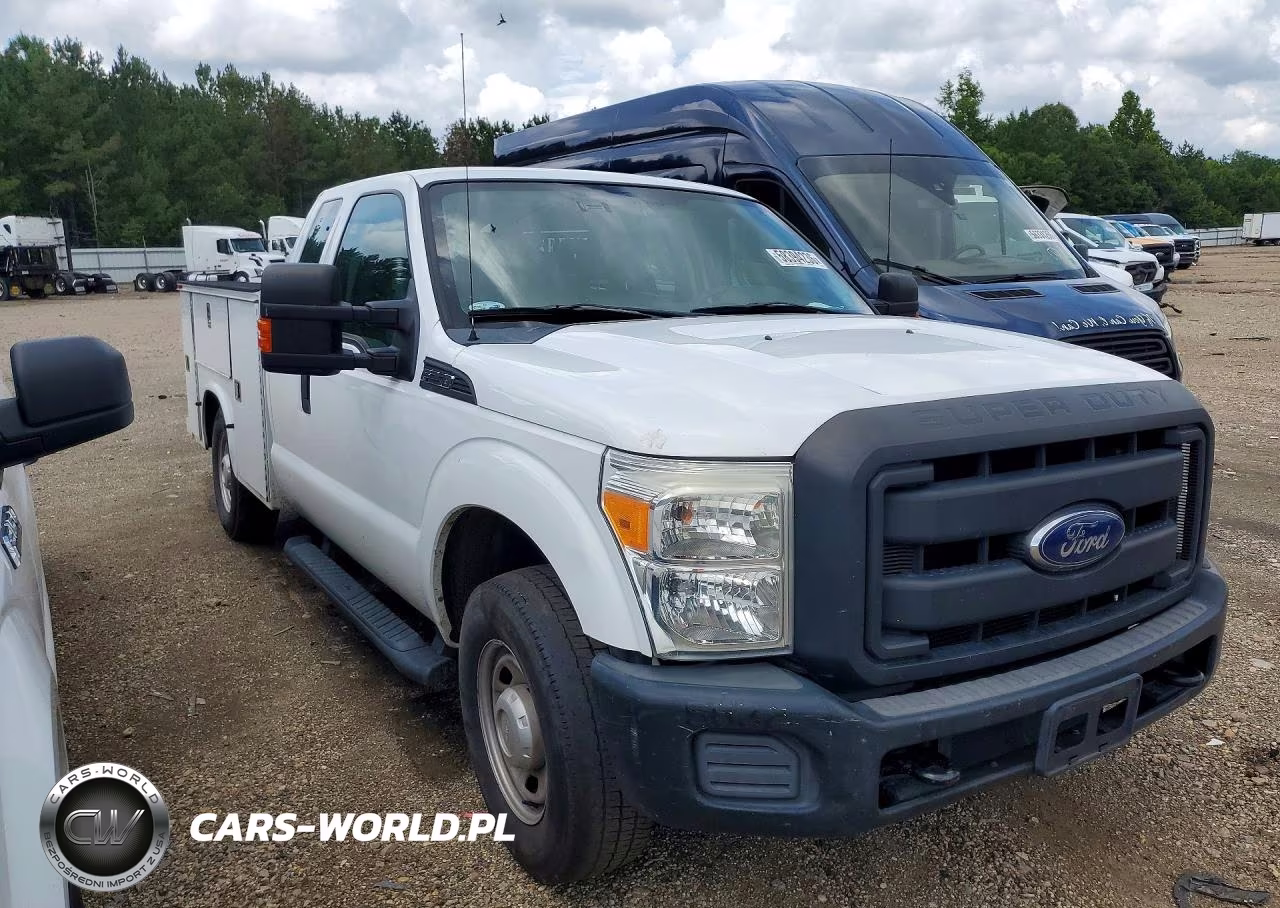 2013 Ford F250 Super Duty VIN:1FD7X2A66DEA69174 - 4