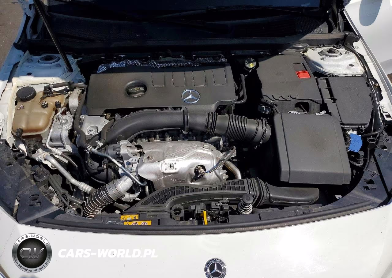 2019 Mercedes-Benz A 220 VIN:WDD3G4EB4KW001572 - 11