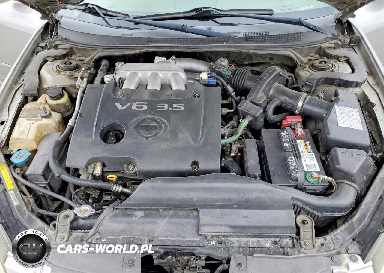2004 Nissan Altima Se VIN:1N4BL11D14C143461 - 11