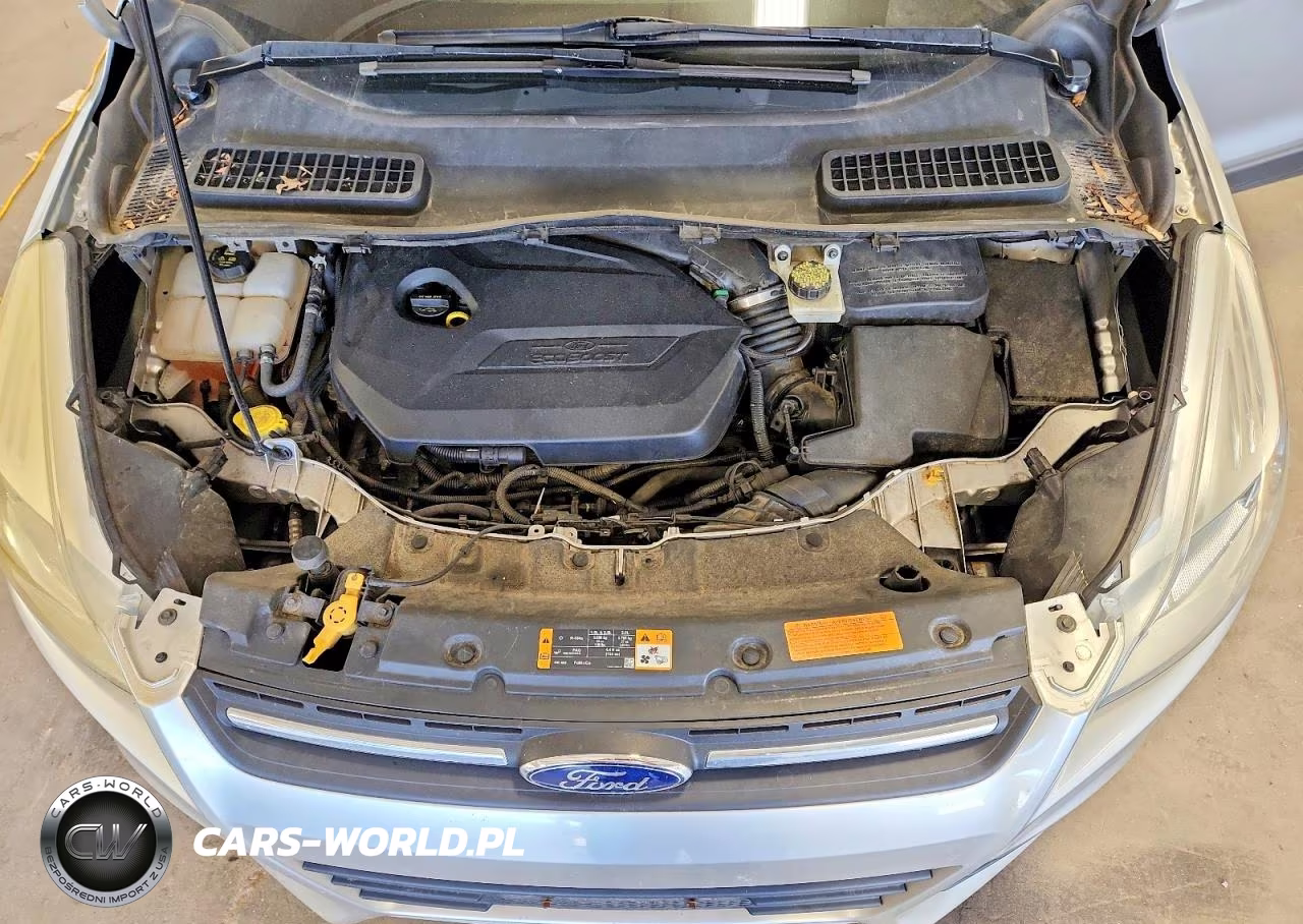2014 Ford Escape Se VIN:1FMCU0GX4EUB80194 - 12