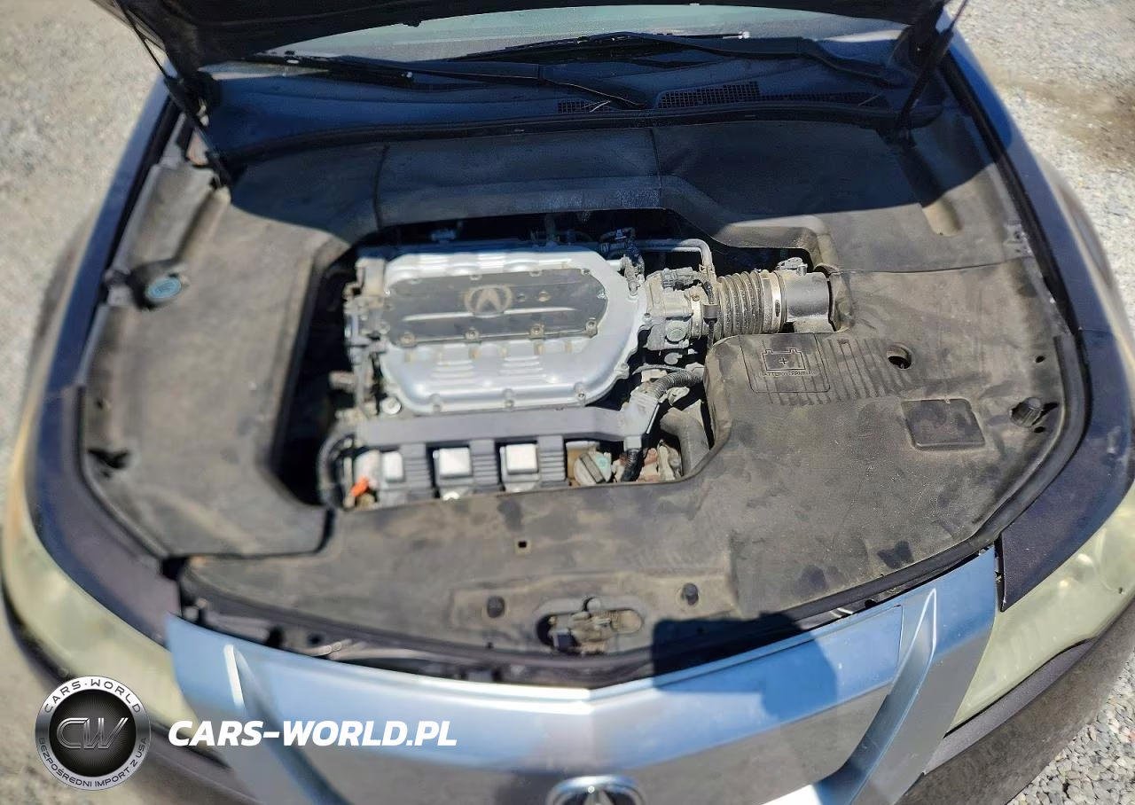 2009 Acura Tl VIN:19UUA86589A016679 - 11