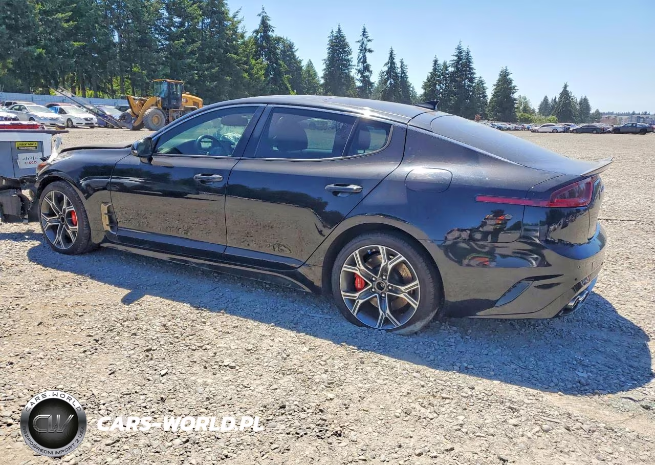2018 Kia Stinger Gt-Line VIN:KNAE45LC3J6011826 - 2