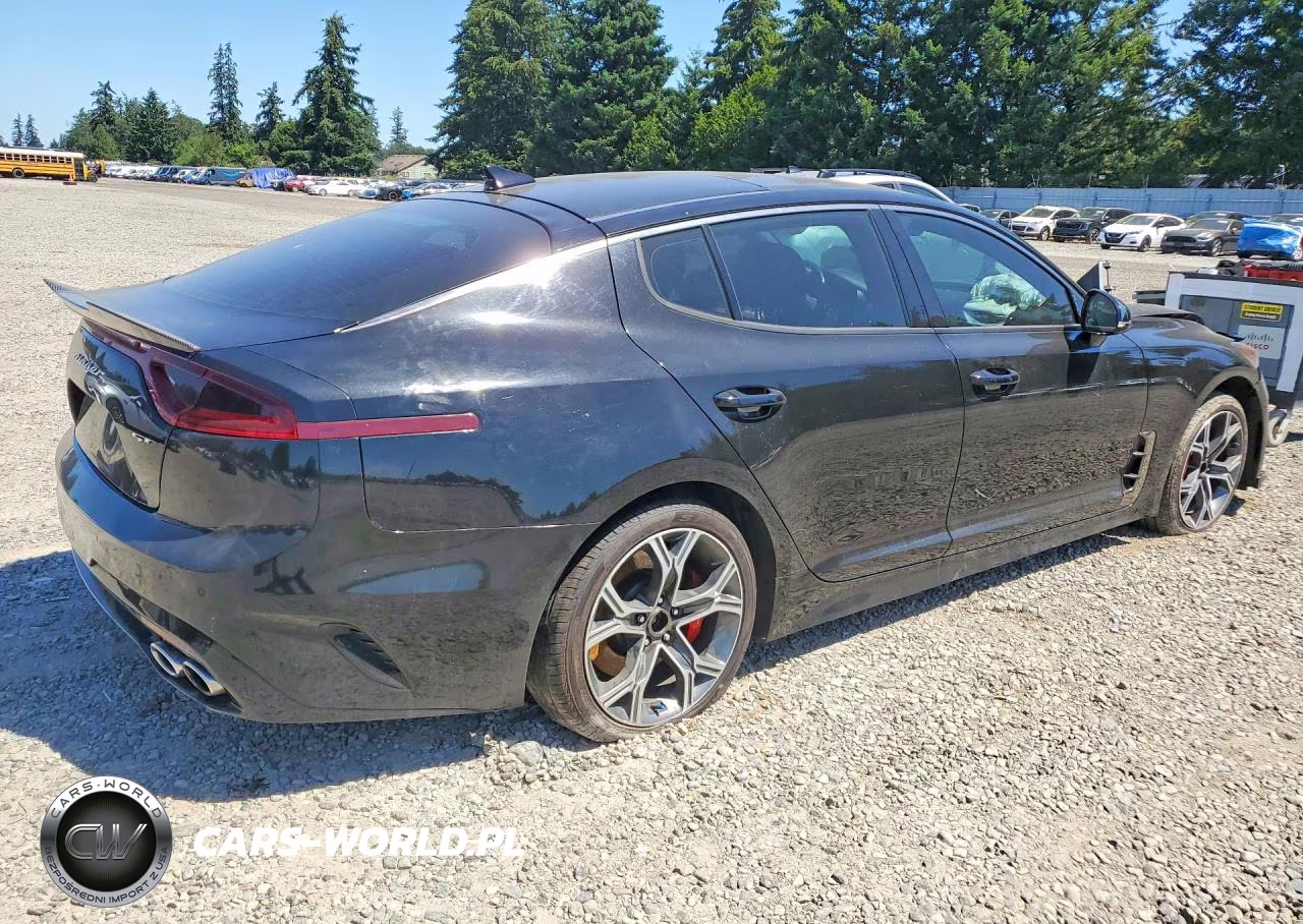 2018 Kia Stinger Gt-Line VIN:KNAE45LC3J6011826 - 3