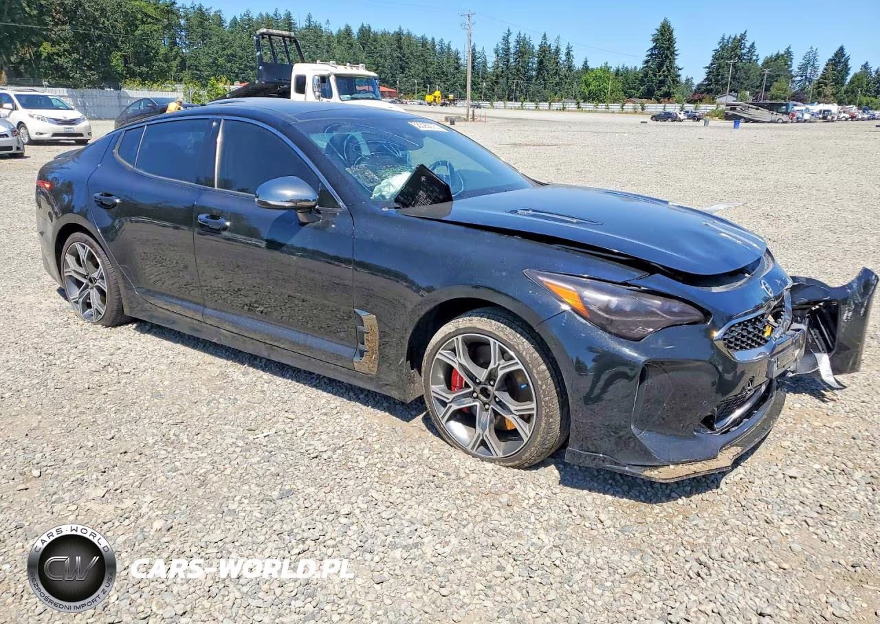 2018 Kia Stinger Gt-Line VIN:KNAE45LC3J6011826 - 4