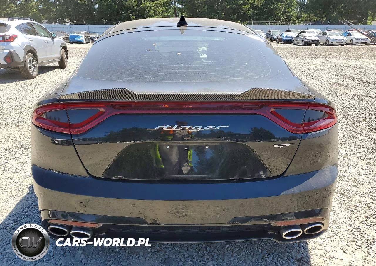 2018 Kia Stinger Gt-Line VIN:KNAE45LC3J6011826 - 6