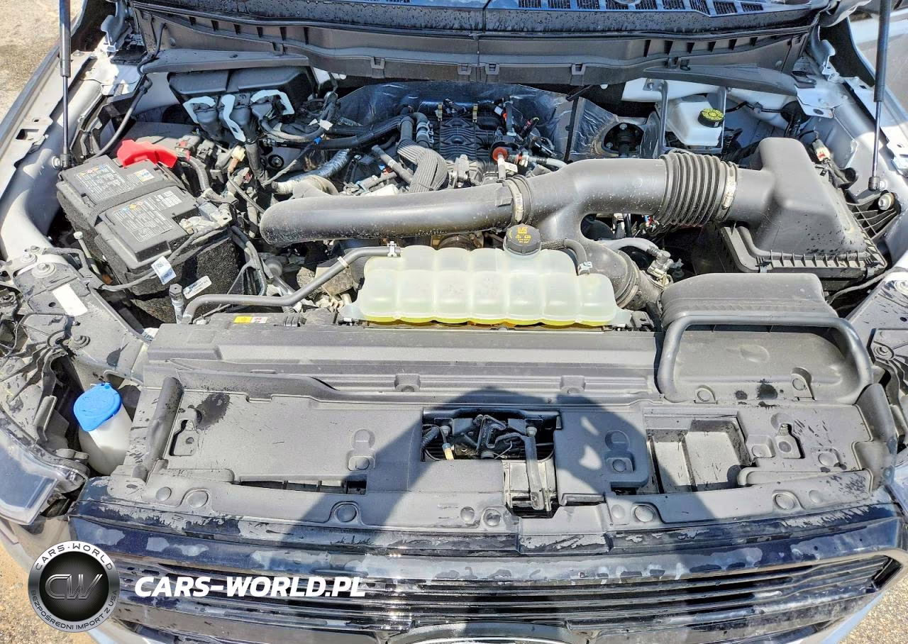 2025 Ford F150 Platinum VIN:1FTFW7L8XSFB48885 - 11