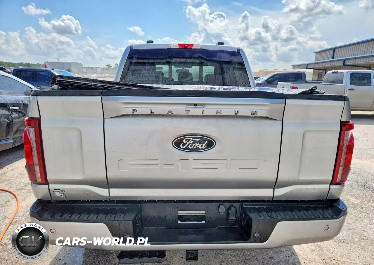 2025 Ford F150 Platinum VIN:1FTFW7L8XSFB48885 - 6