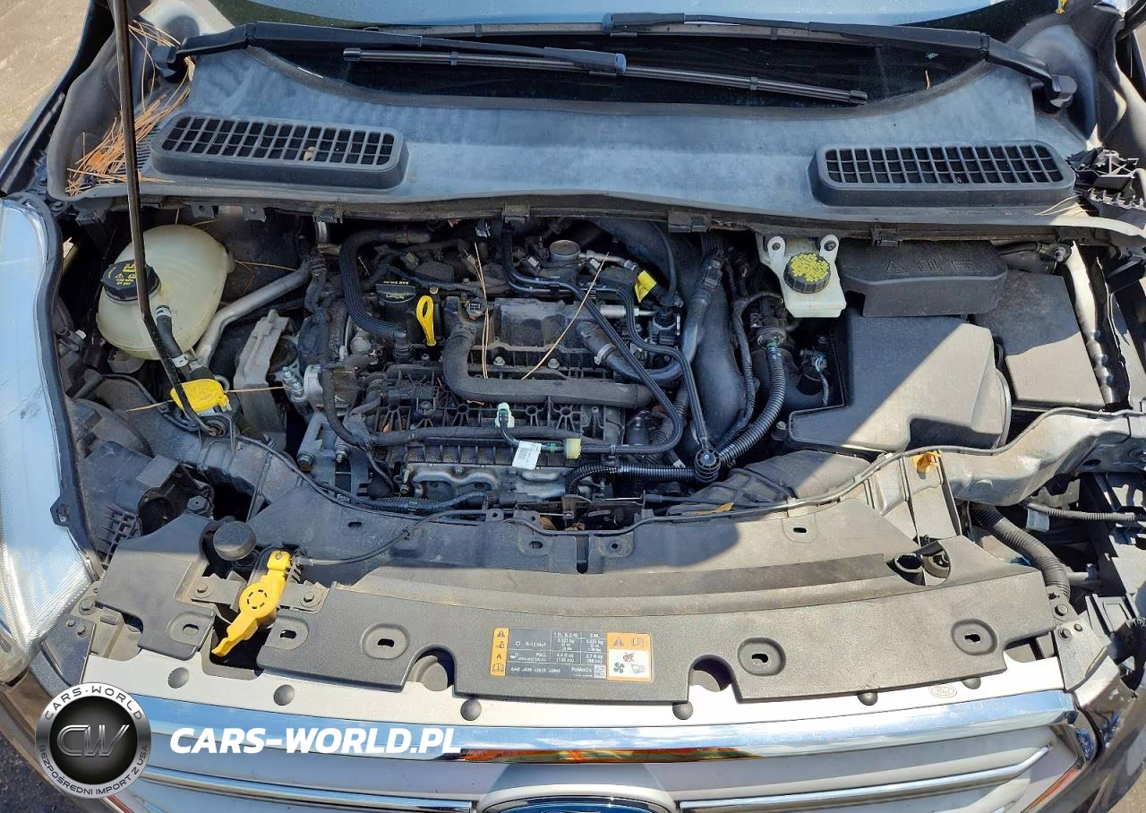 2019 Ford Escape Se VIN:1FMCU0GD6KUA55747 - 12