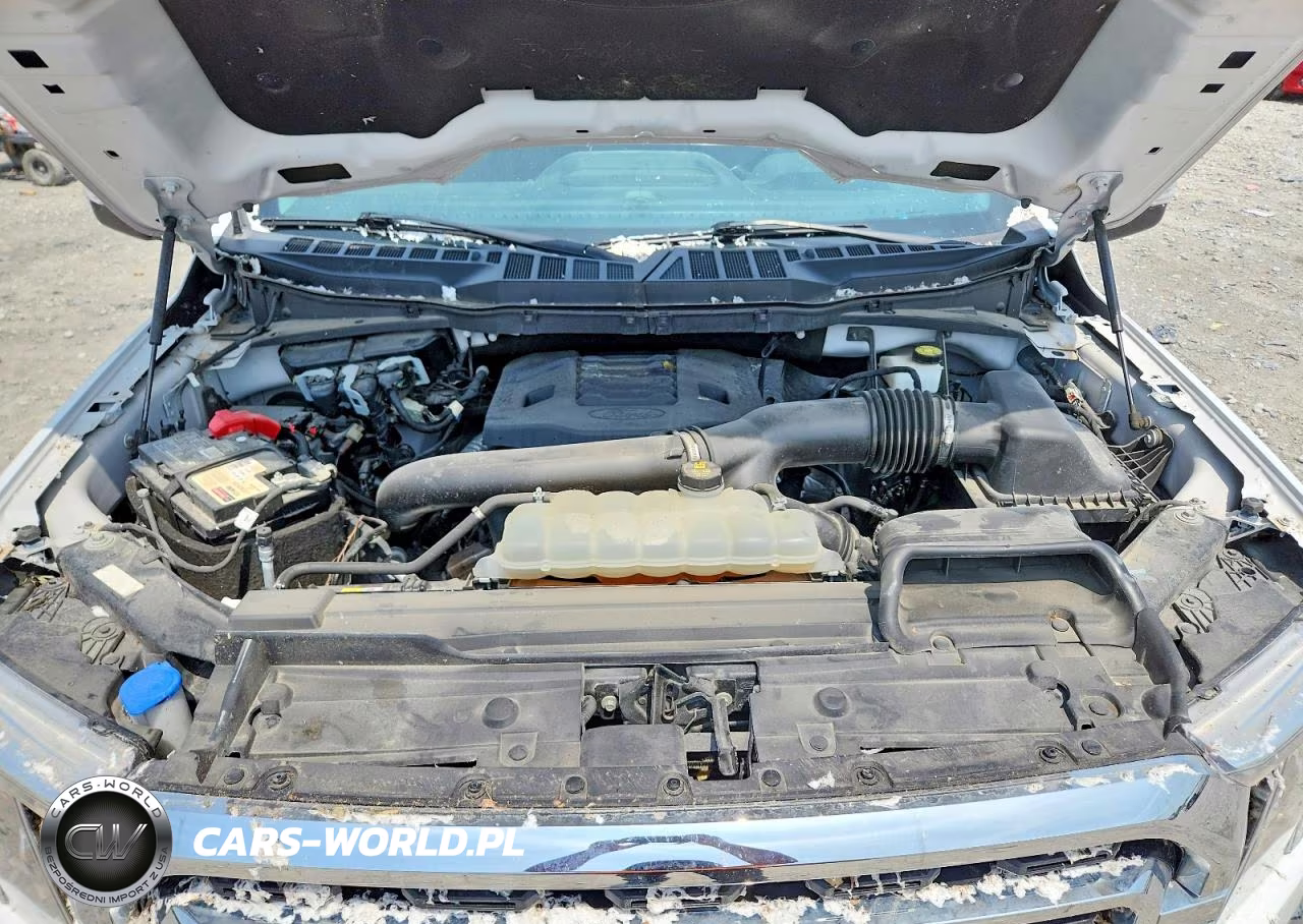 2021 Ford F150 Supercrew VIN:1FTFW1E81MFA77315 - 11