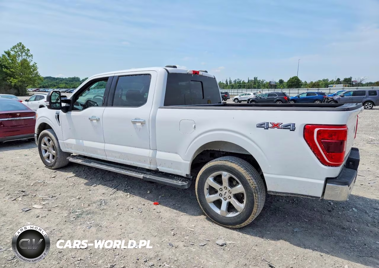 2021 Ford F150 Supercrew VIN:1FTFW1E81MFA77315 - 2