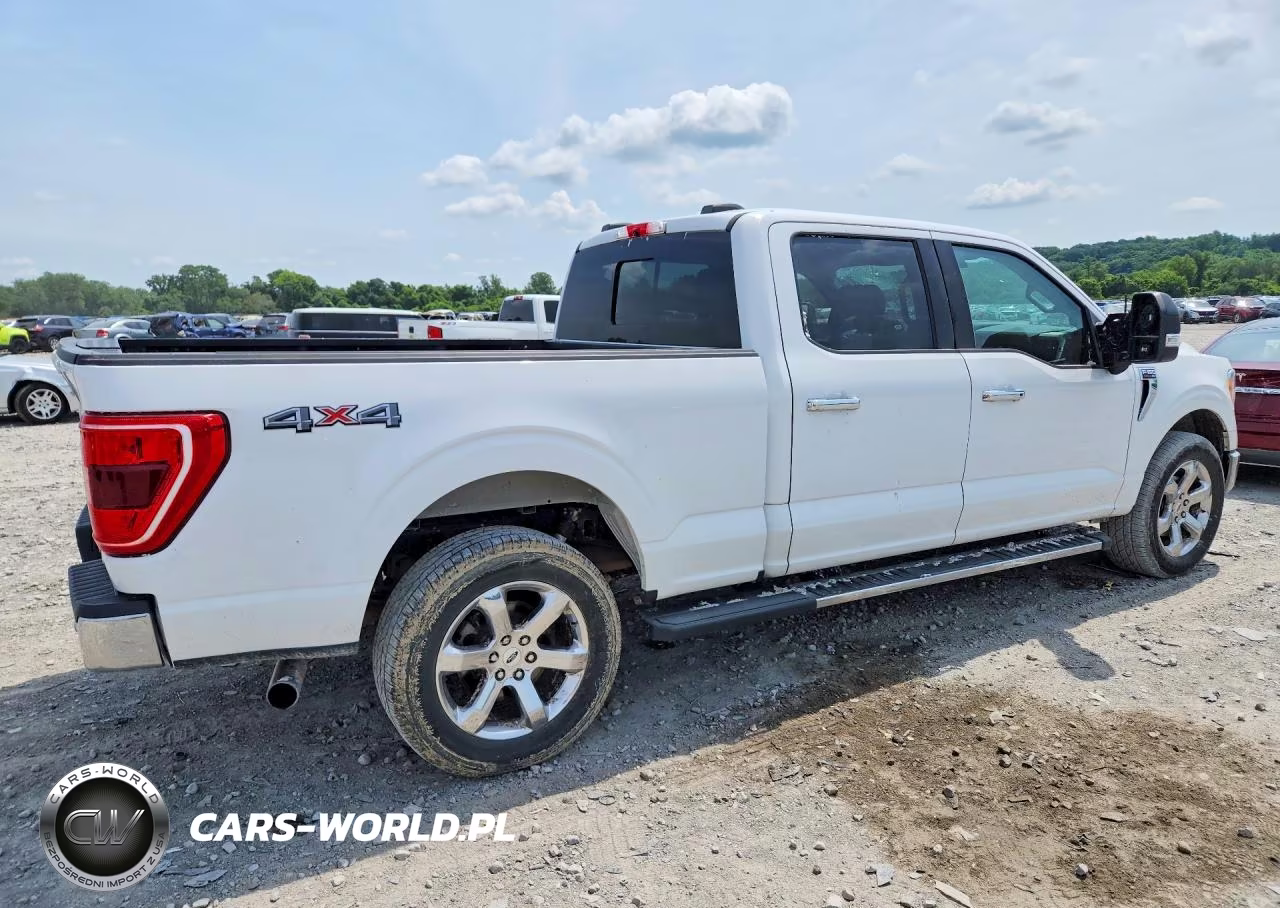 2021 Ford F150 Supercrew VIN:1FTFW1E81MFA77315 - 3