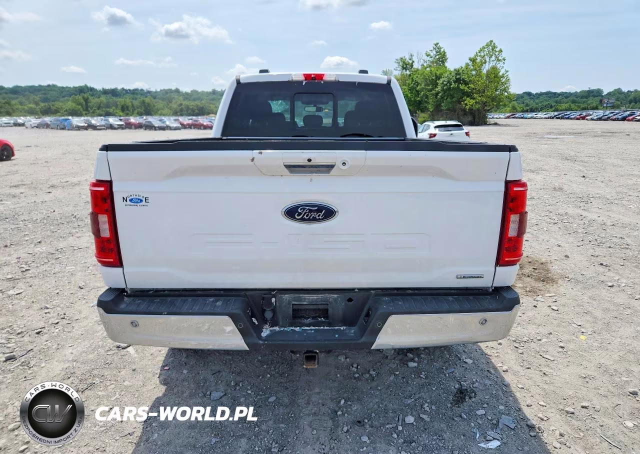 2021 Ford F150 Supercrew VIN:1FTFW1E81MFA77315 - 6