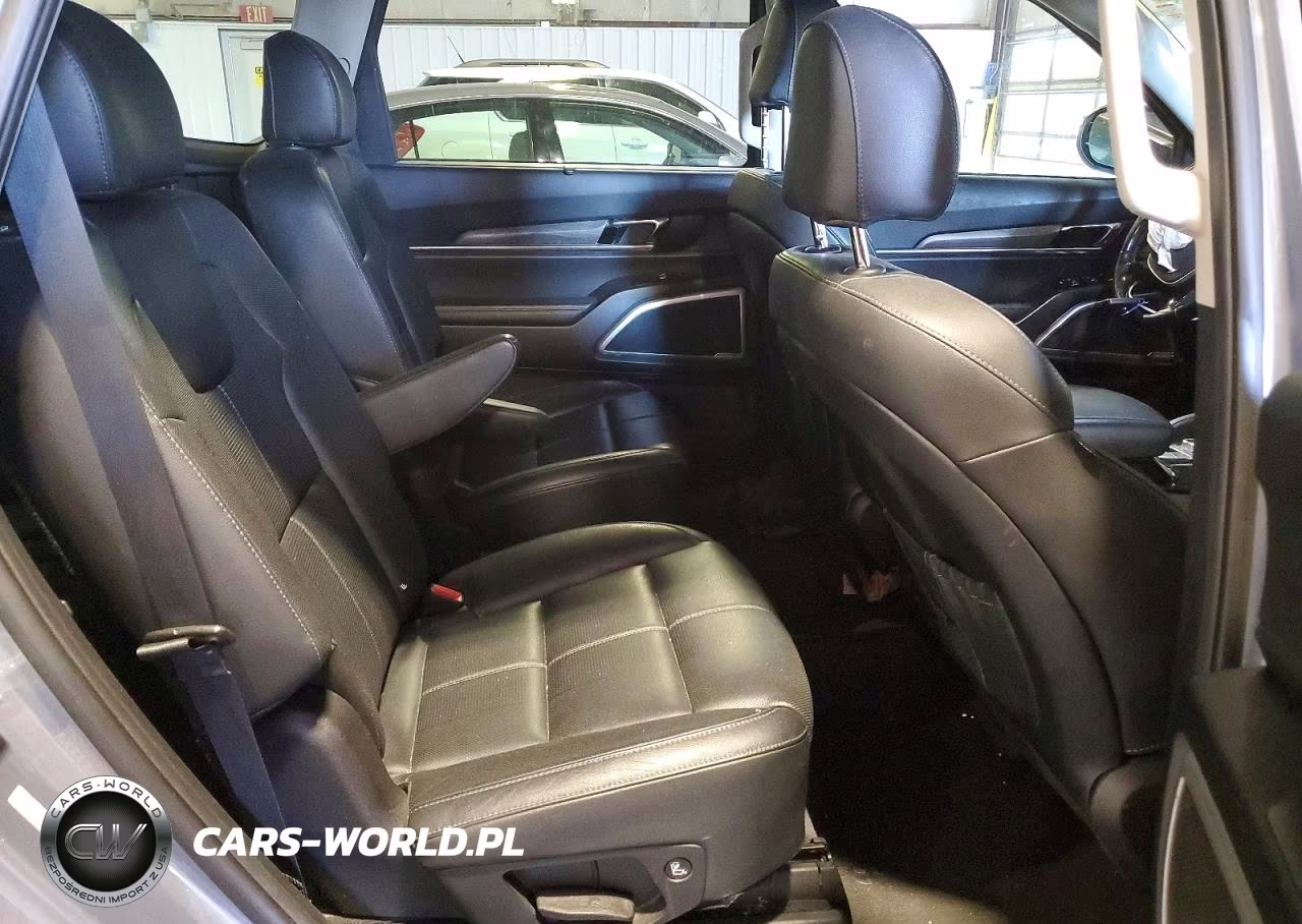2020 Kia Telluride Ex VIN:5XYP3DHCXLG058241 - 11