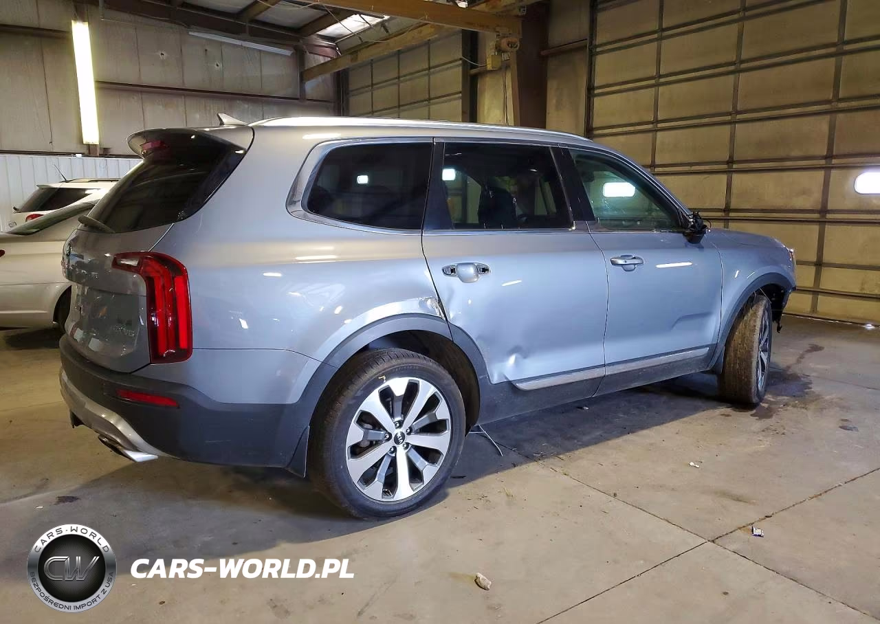 2020 Kia Telluride Ex VIN:5XYP3DHCXLG058241 - 3