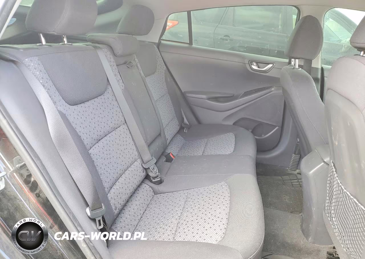 2019 Hyundai Ioniq Sel VIN:KMHC75LC8KU105856 - 10