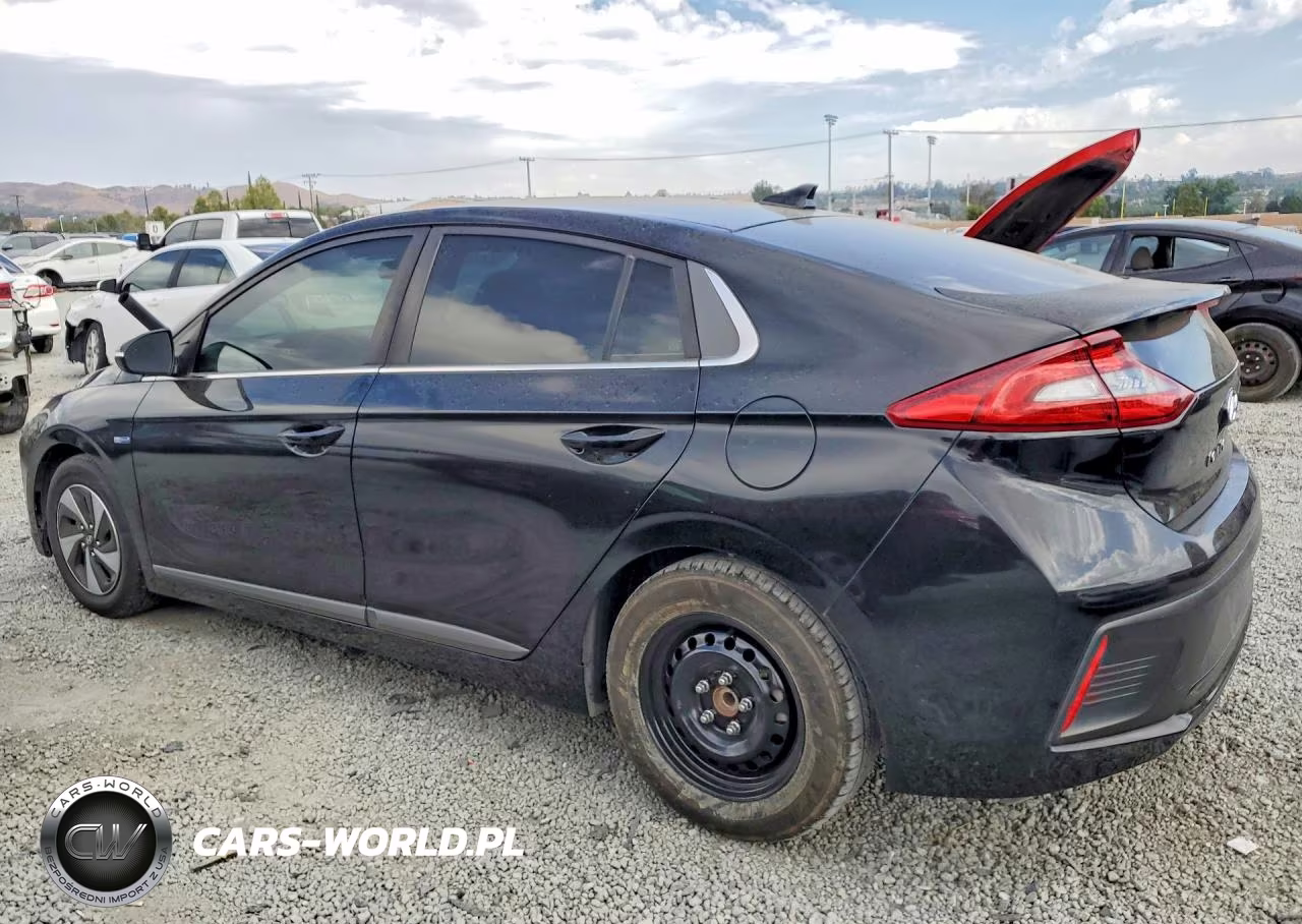2019 Hyundai Ioniq Sel VIN:KMHC75LC8KU105856 - 2