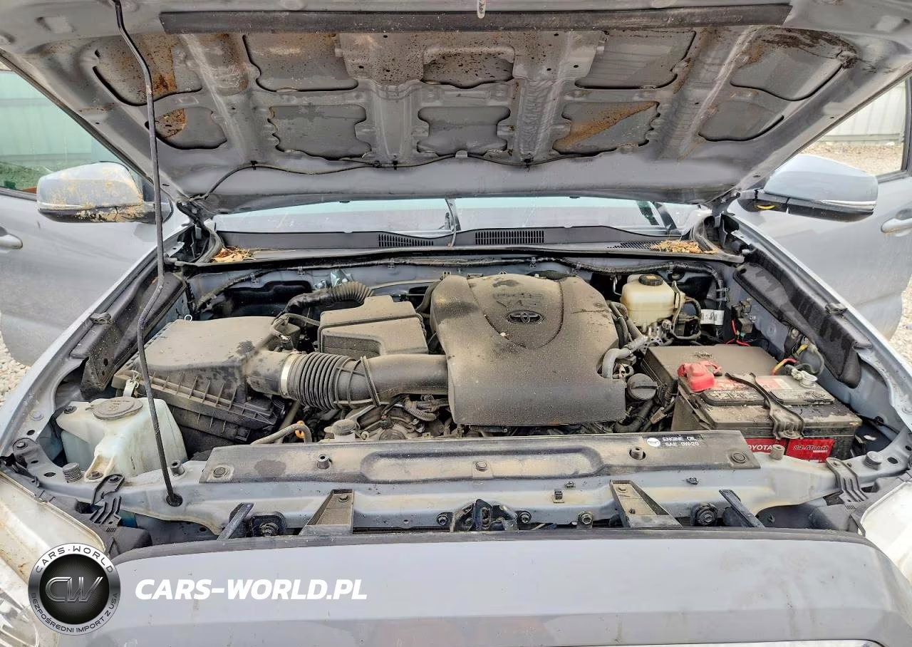 2019 Toyota Tacoma Trd Off-Road VIN:3TMCZ5AN3KM278028 - 11