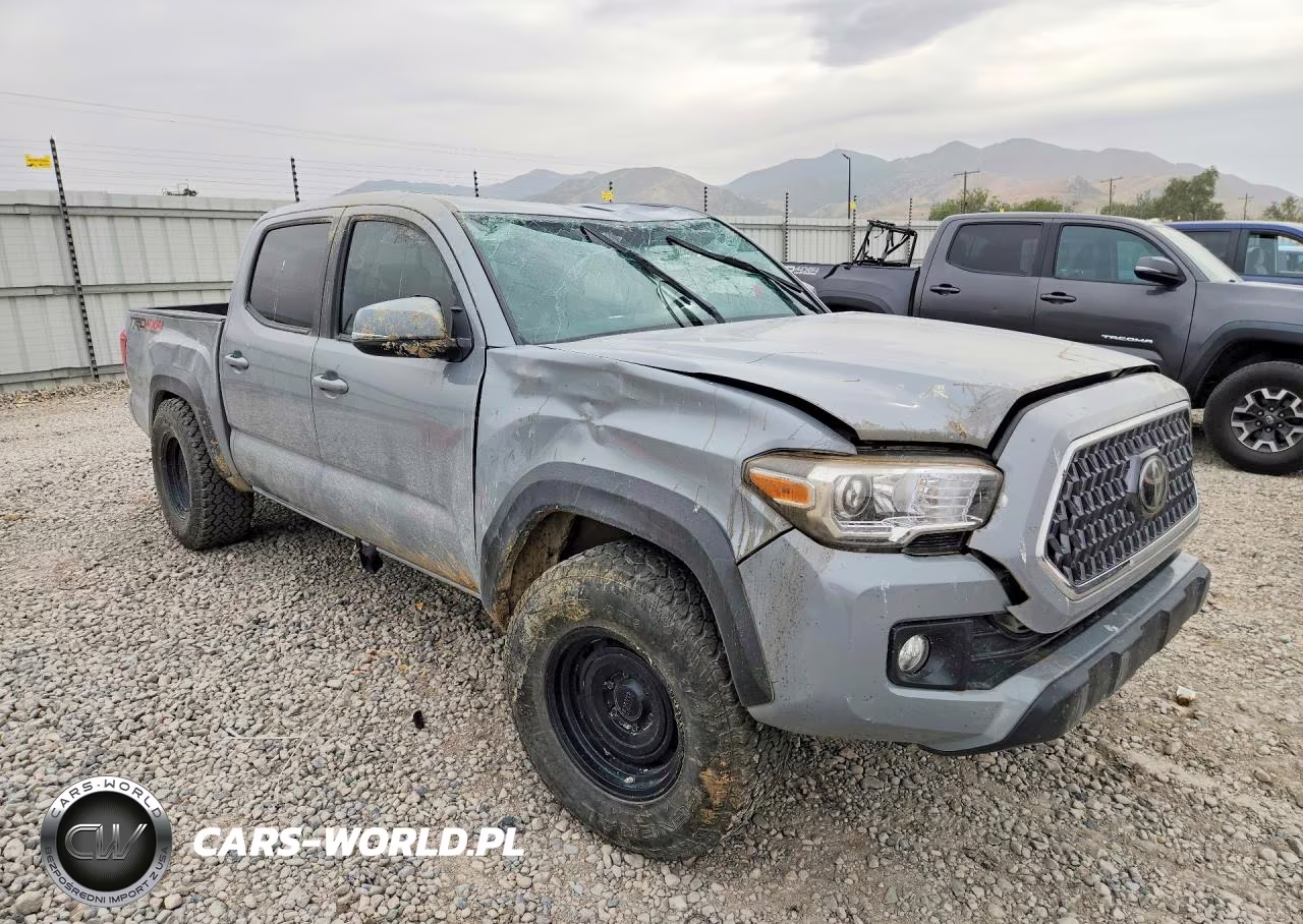 2019 Toyota Tacoma Trd Off-Road VIN:3TMCZ5AN3KM278028 - 4