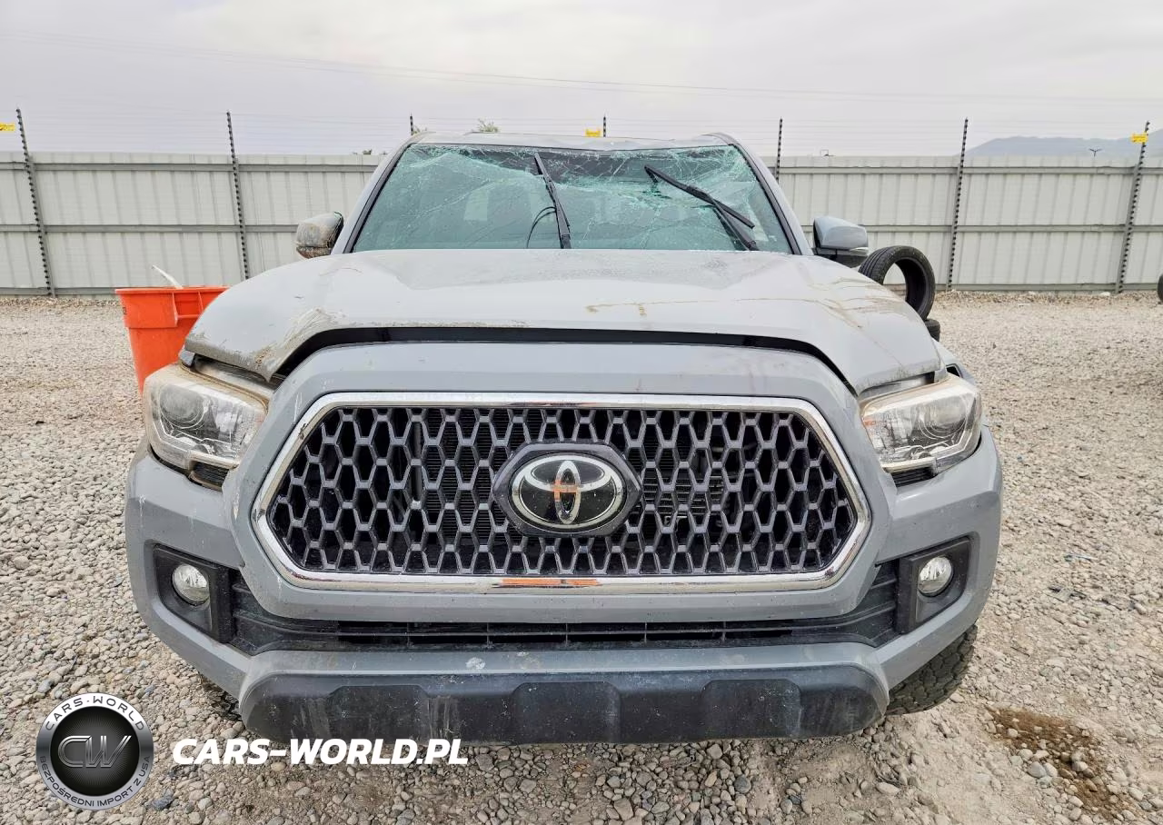 2019 Toyota Tacoma Trd Off-Road VIN:3TMCZ5AN3KM278028 - 5