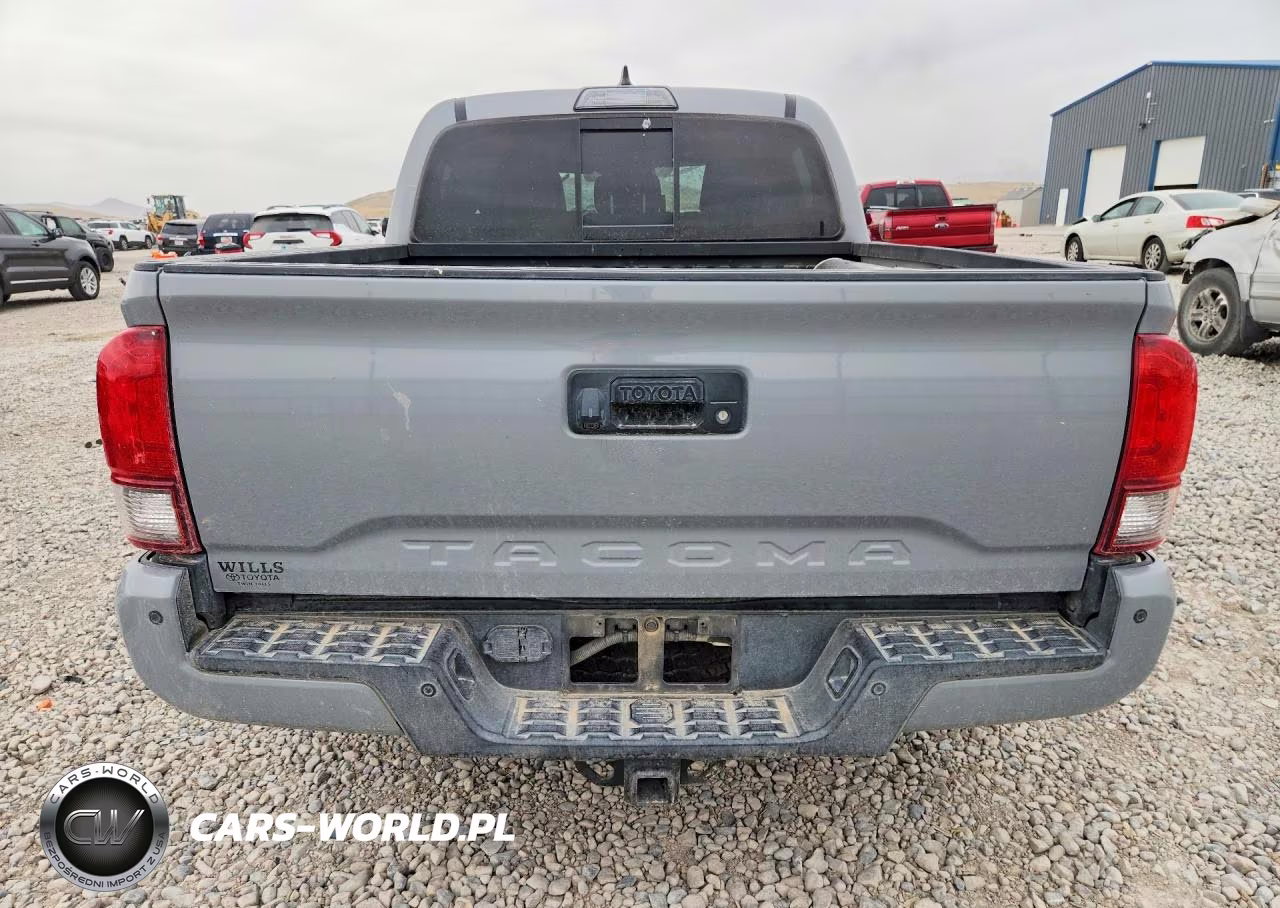 2019 Toyota Tacoma Trd Off-Road VIN:3TMCZ5AN3KM278028 - 6