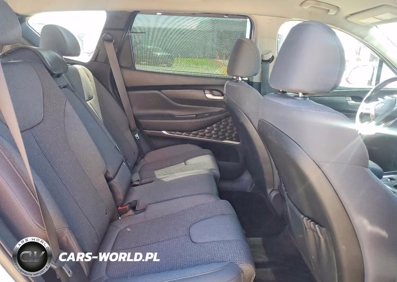 2020 Hyundai Santa Fe Sel VIN:5NMS33AD0LH205664 - 10