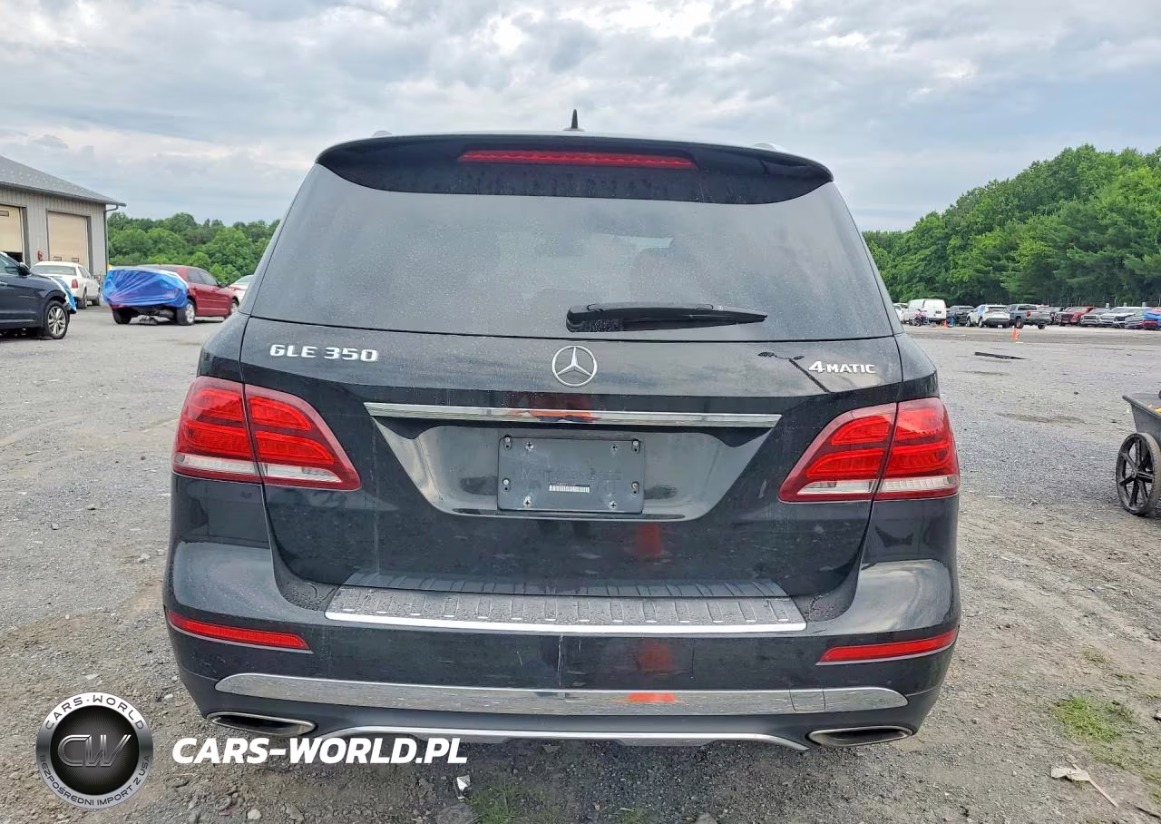 2016 Mercedes-Benz Gle 350 4Matic VIN:4JGDA5HB8GA656657 - 6