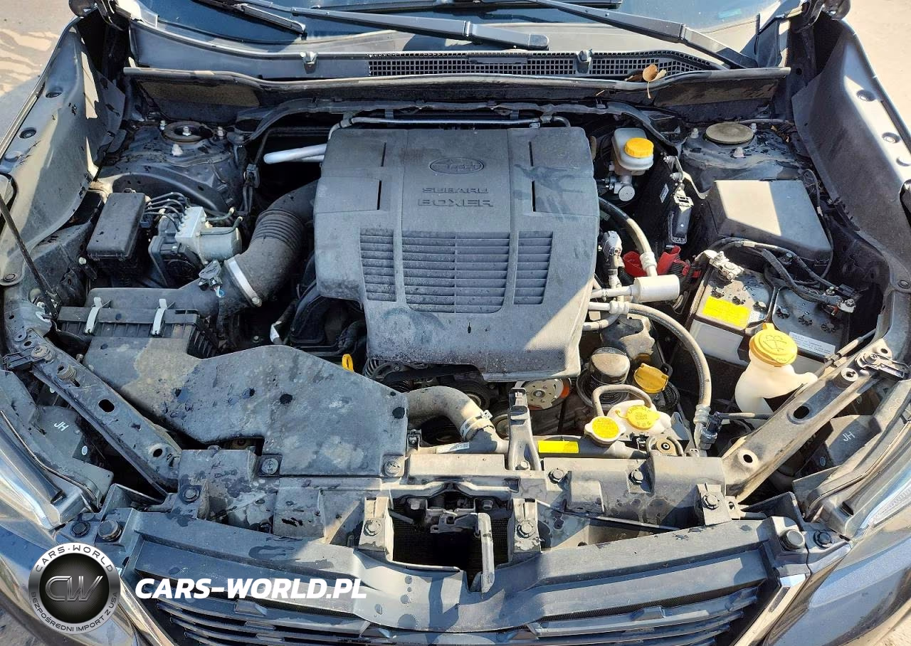2019 Subaru Forester Limited VIN:JF2SKASC5KH416003 - 12