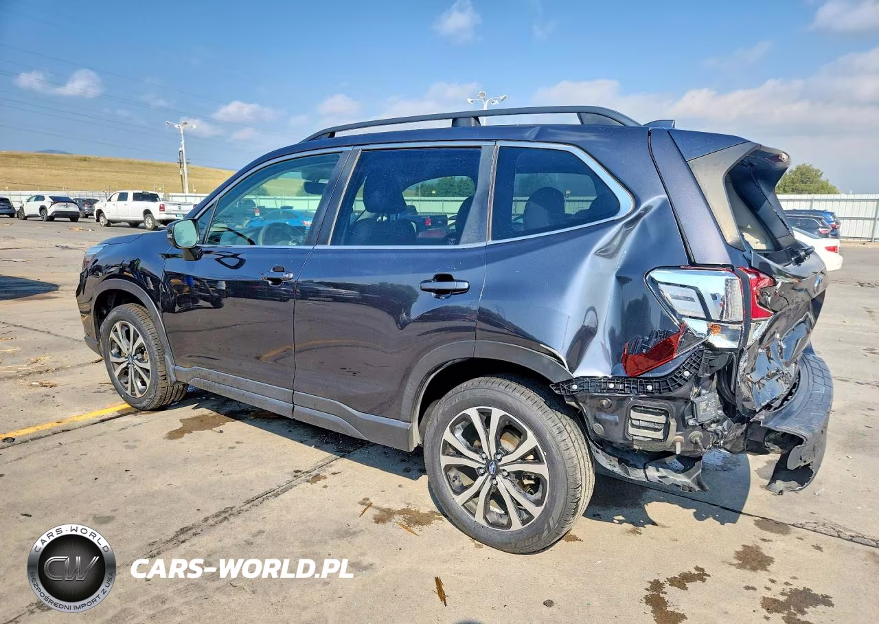 2019 Subaru Forester Limited VIN:JF2SKASC5KH416003 - 2