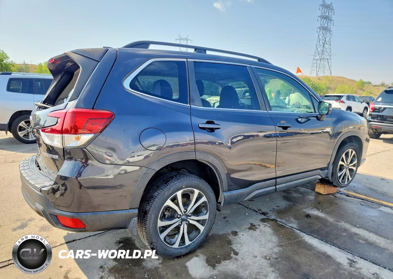 2019 Subaru Forester Limited VIN:JF2SKASC5KH416003 - 3