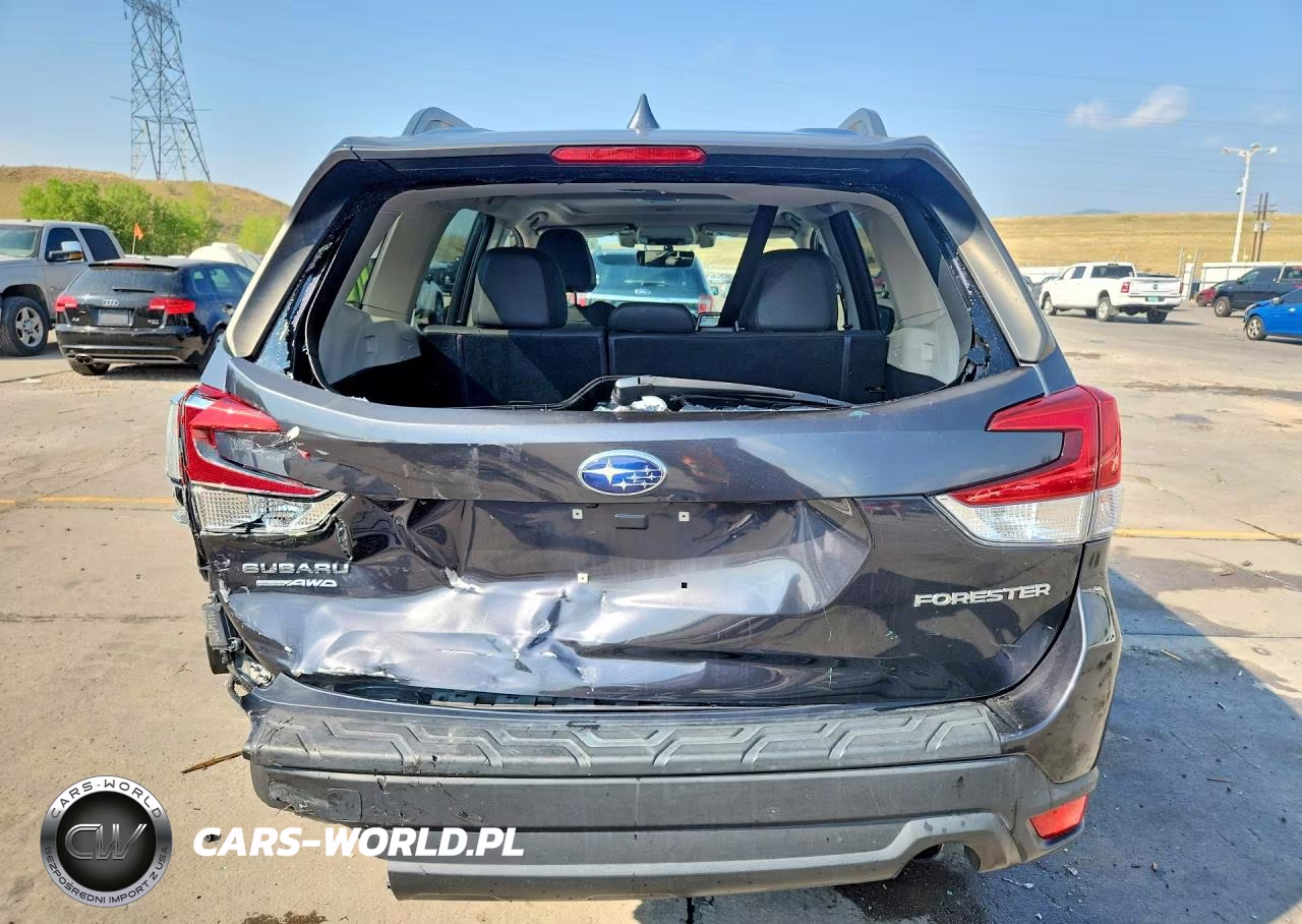 2019 Subaru Forester Limited VIN:JF2SKASC5KH416003 - 6