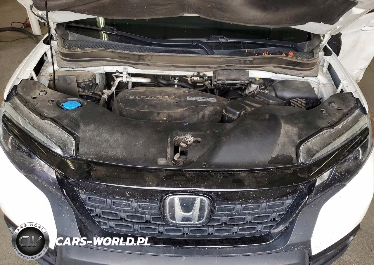 2019 Honda Passport Exl VIN:5FNYF8H52KB022697 - 12
