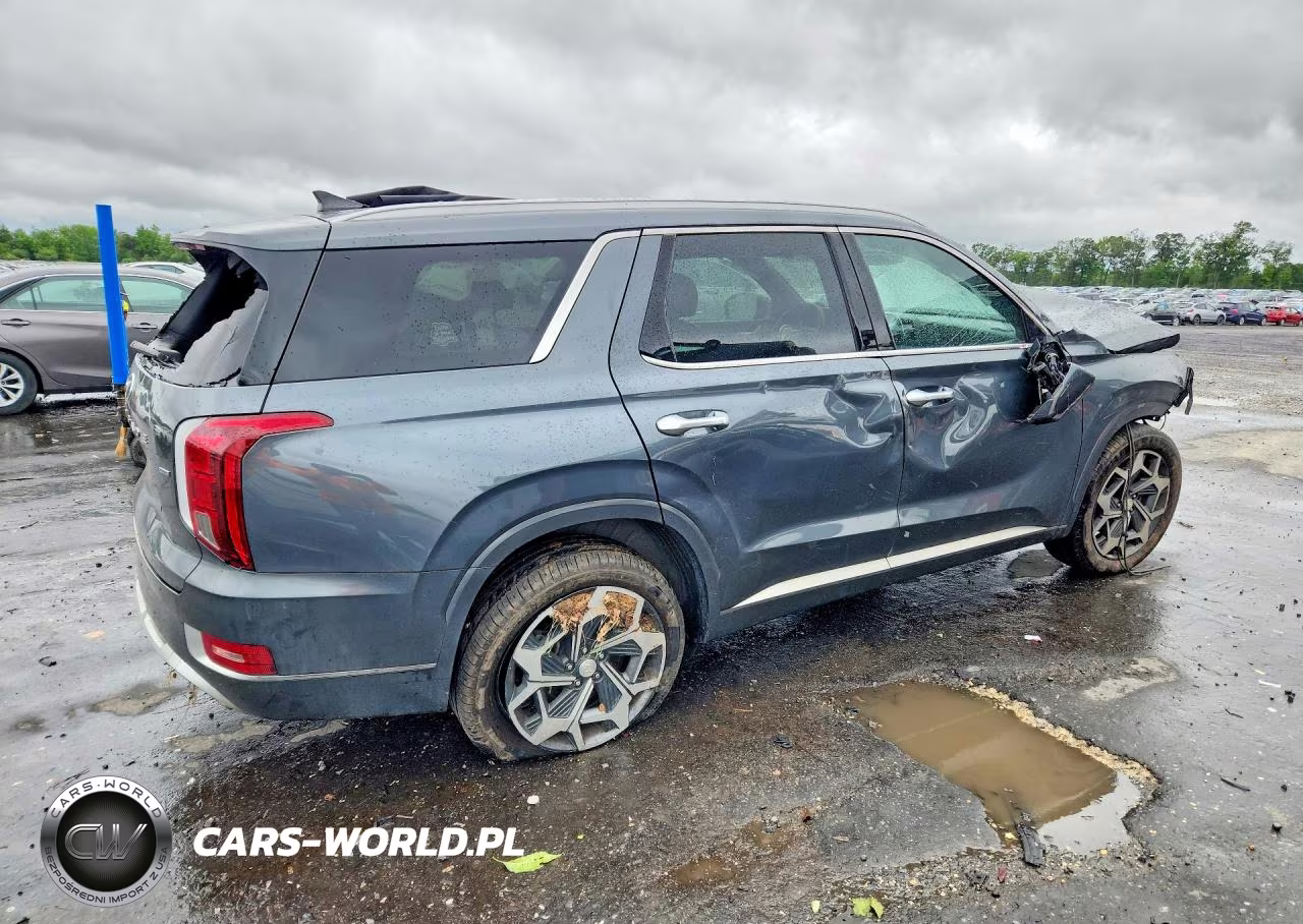 2021 Hyundai Palisade Calligraphy VIN:KM8R7DHE4MU315498 - 3