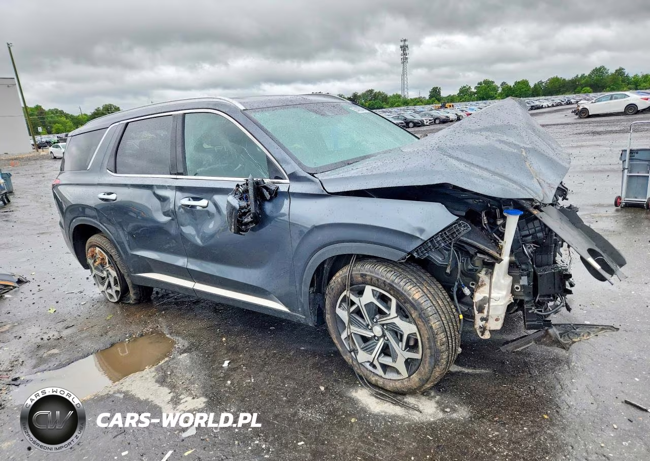 2021 Hyundai Palisade Calligraphy VIN:KM8R7DHE4MU315498 - 4