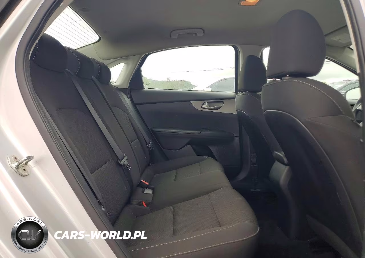 2019 Kia Forte Lxs VIN:3KPF24AD5KE130640 - 10