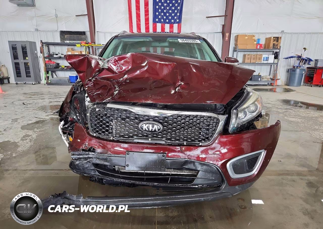 2017 Kia Sorento Lx V6 VIN:5XYPGDA5XHG313686 - 5
