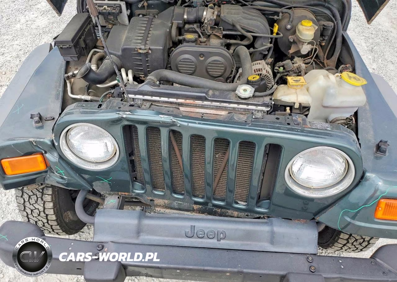 2004 Jeep Wrangler - Tj Se VIN:1J4FA29144P769722 - 11