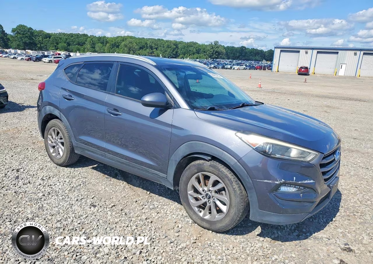 2016 Hyundai Tucson Se VIN:KM8J33A4XGU114519 - 4