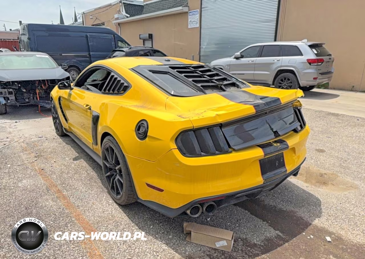 2016 Ford Shelby Gt350 VIN:1FA6P8JZXG5520579 - 3