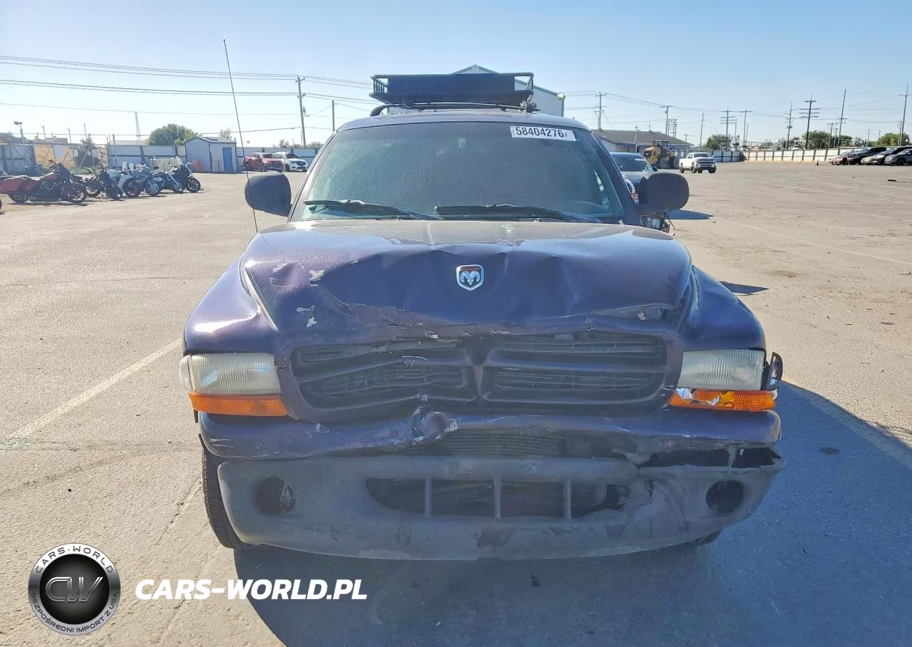 1999 Dodge Durango VIN:1B4HS28Z3XF643118 - 5