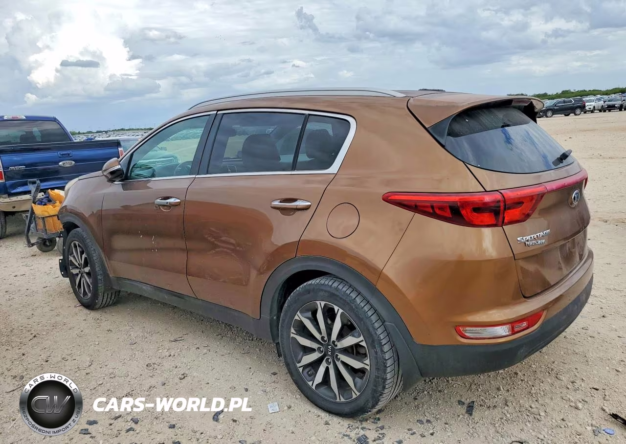 2019 Kia Sportage Ex VIN:KNDPN3AC6K7556673 - 2