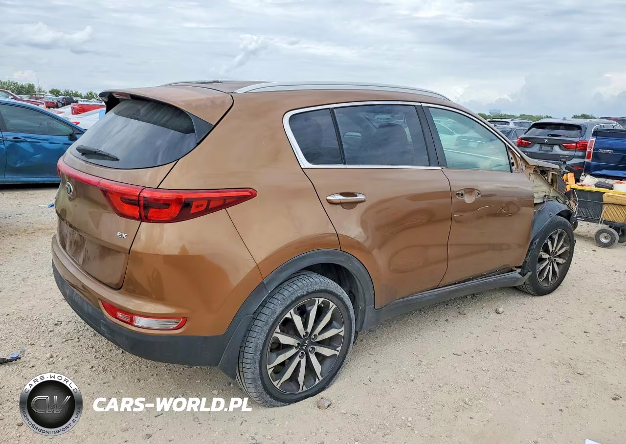 2019 Kia Sportage Ex VIN:KNDPN3AC6K7556673 - 3