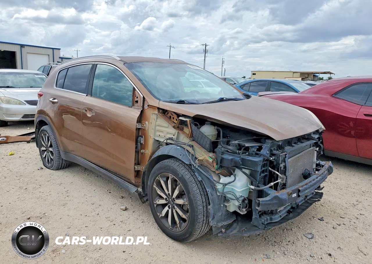 2019 Kia Sportage Ex VIN:KNDPN3AC6K7556673 - 4