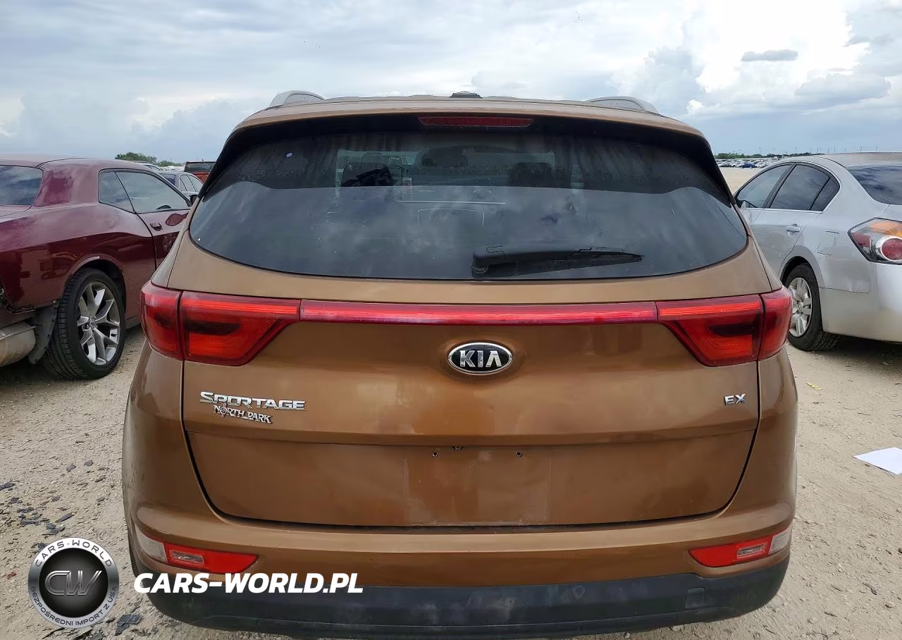 2019 Kia Sportage Ex VIN:KNDPN3AC6K7556673 - 6