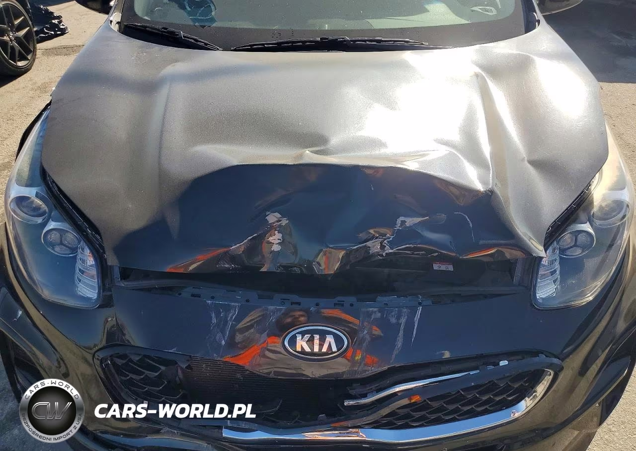 2021 Kia Sportage Lx VIN:KNDPM3AC8M7873800 - 12