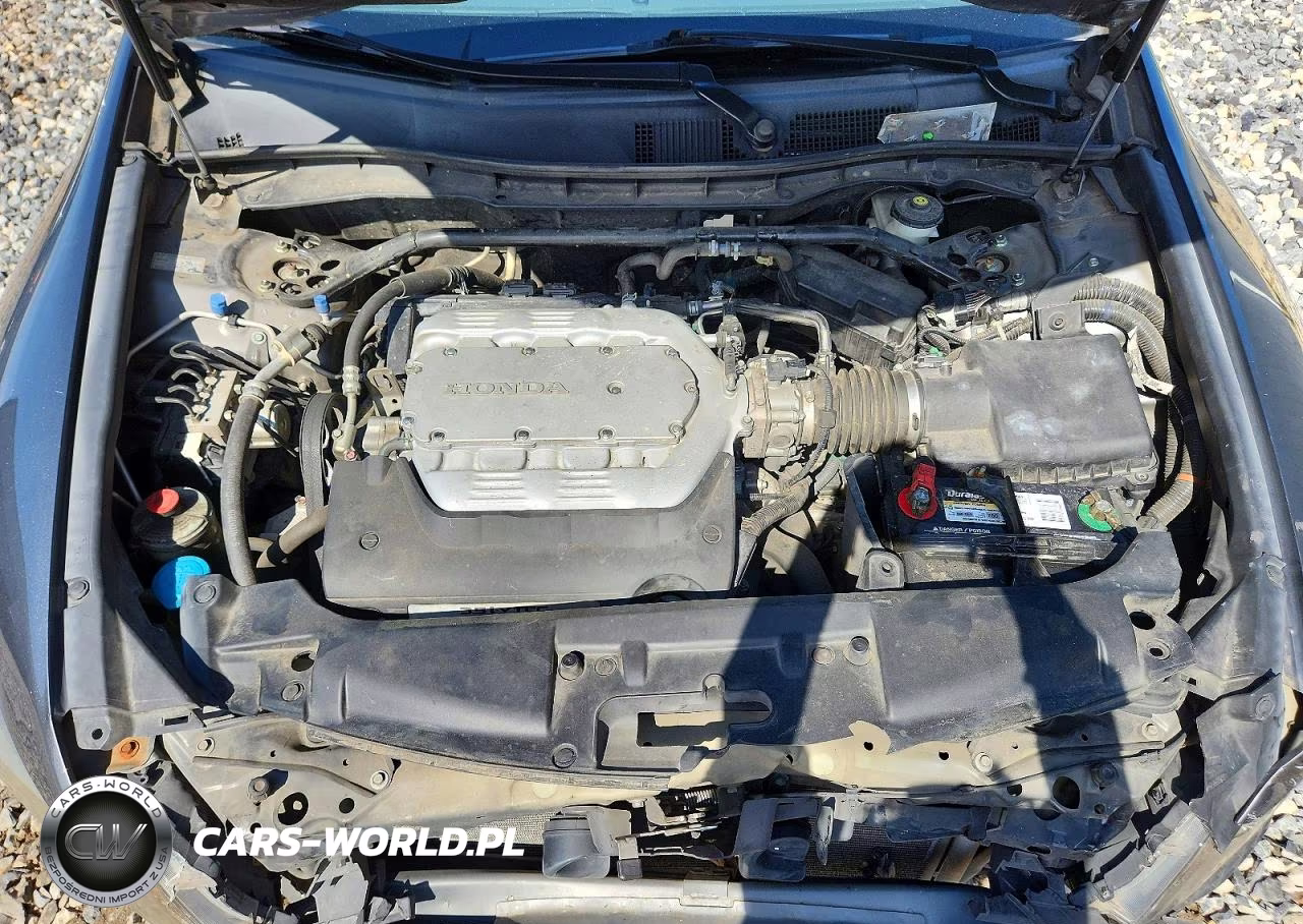 2008 Honda Accord Exl VIN:1HGCP36848A071880 - 11