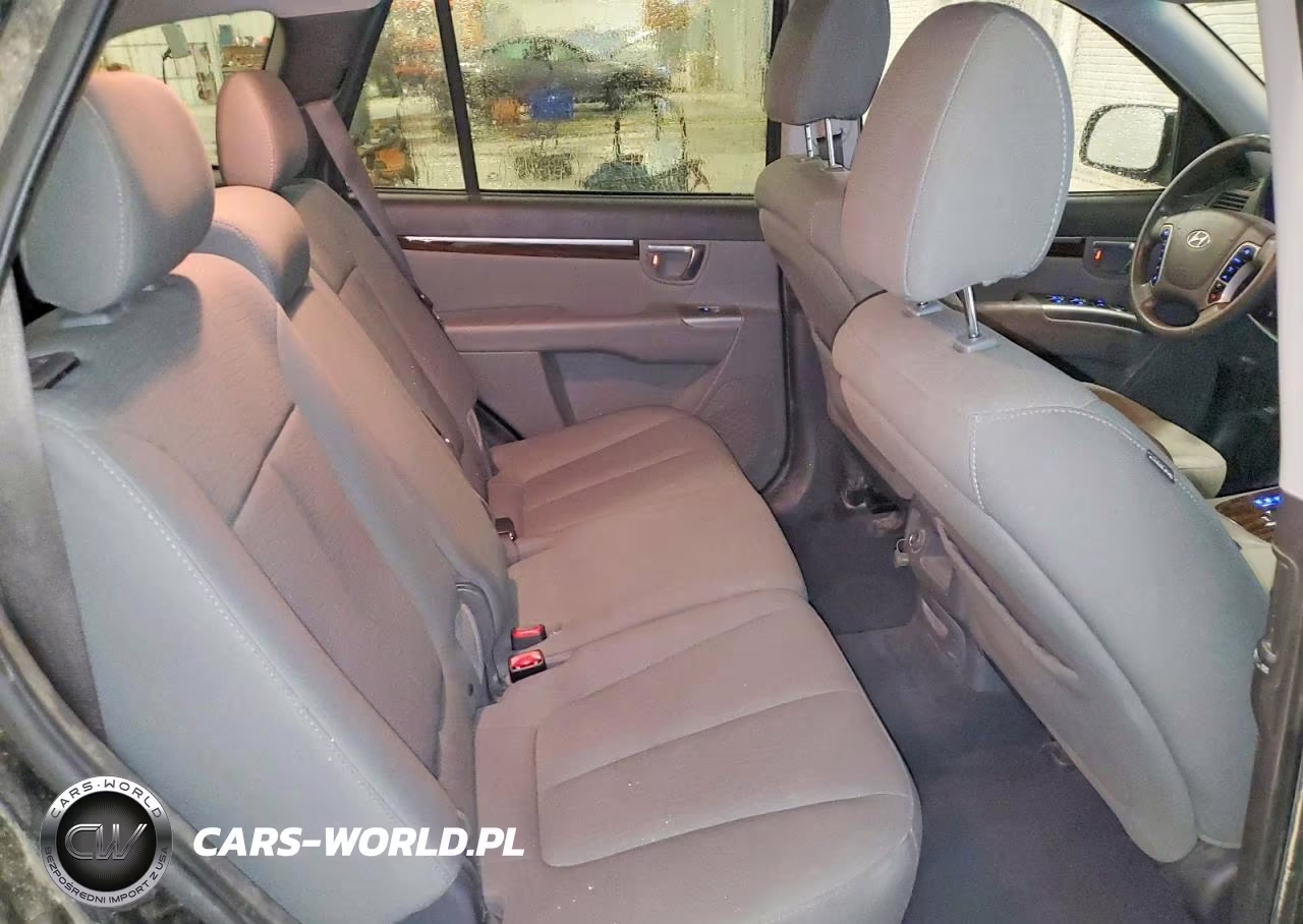 2010 Hyundai Santa Fe Gls VIN:5NMSGDABXAH402251 - 11