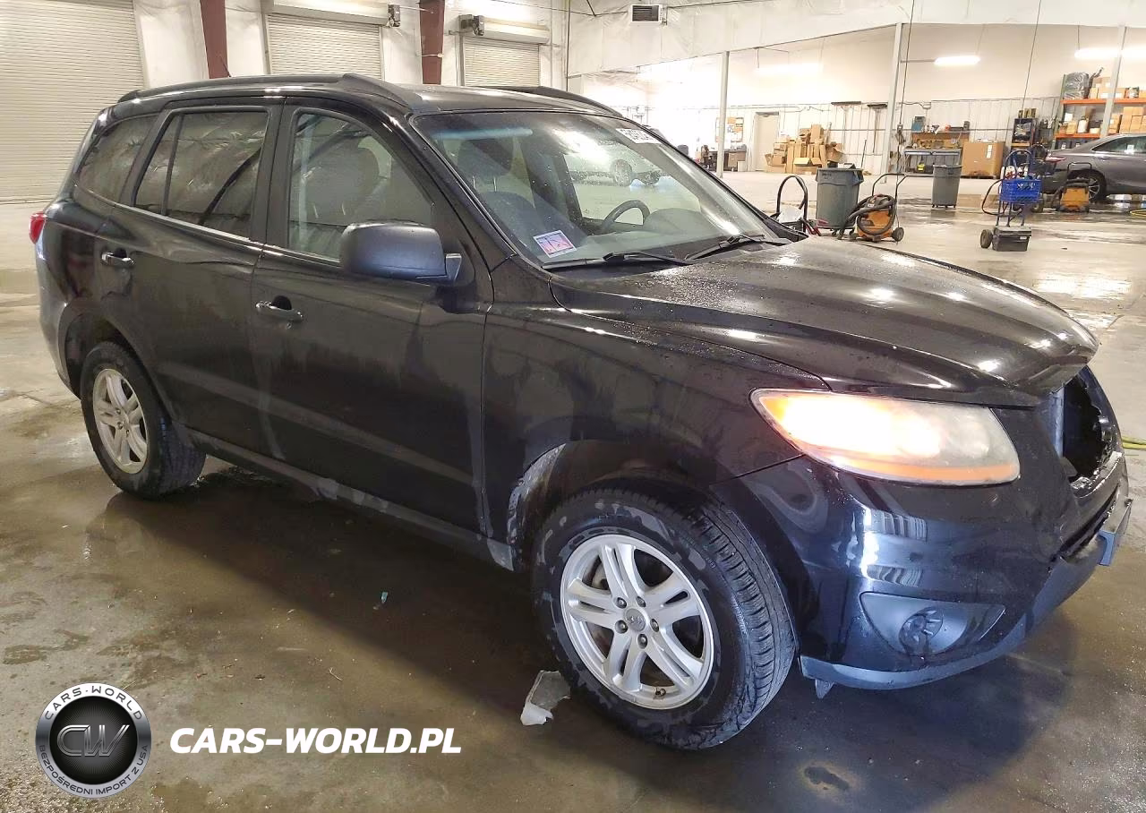 2010 Hyundai Santa Fe Gls VIN:5NMSGDABXAH402251 - 4