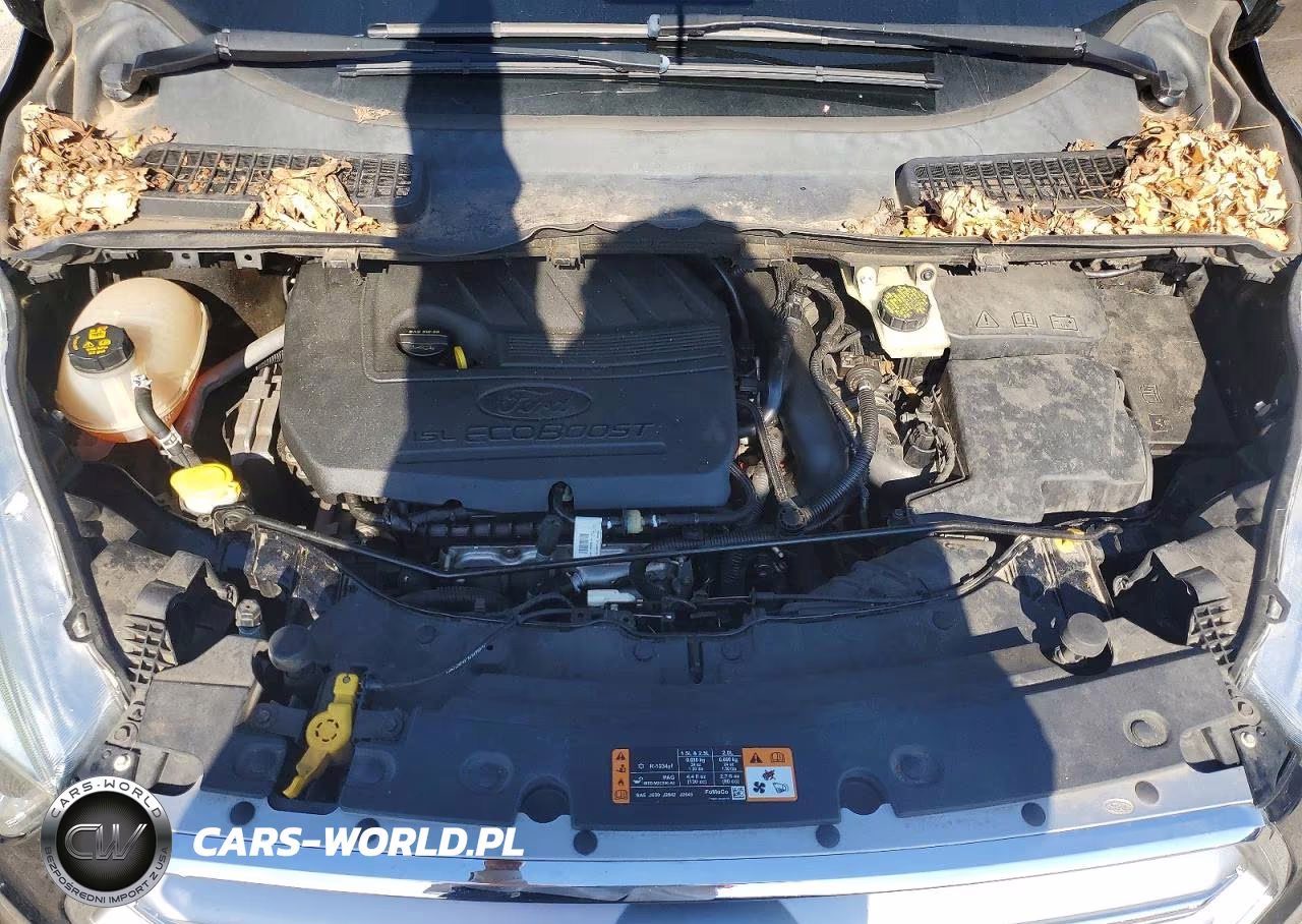 2017 Ford Escape Se VIN:1FMCU0GD1HUA80340 - 12