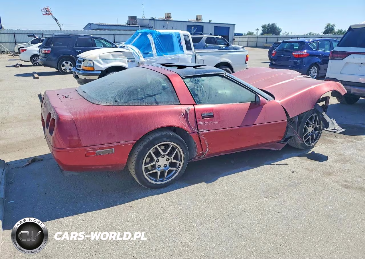 1994 Chevrolet Corvette VIN:1G1YY22P8R5116914 - 3