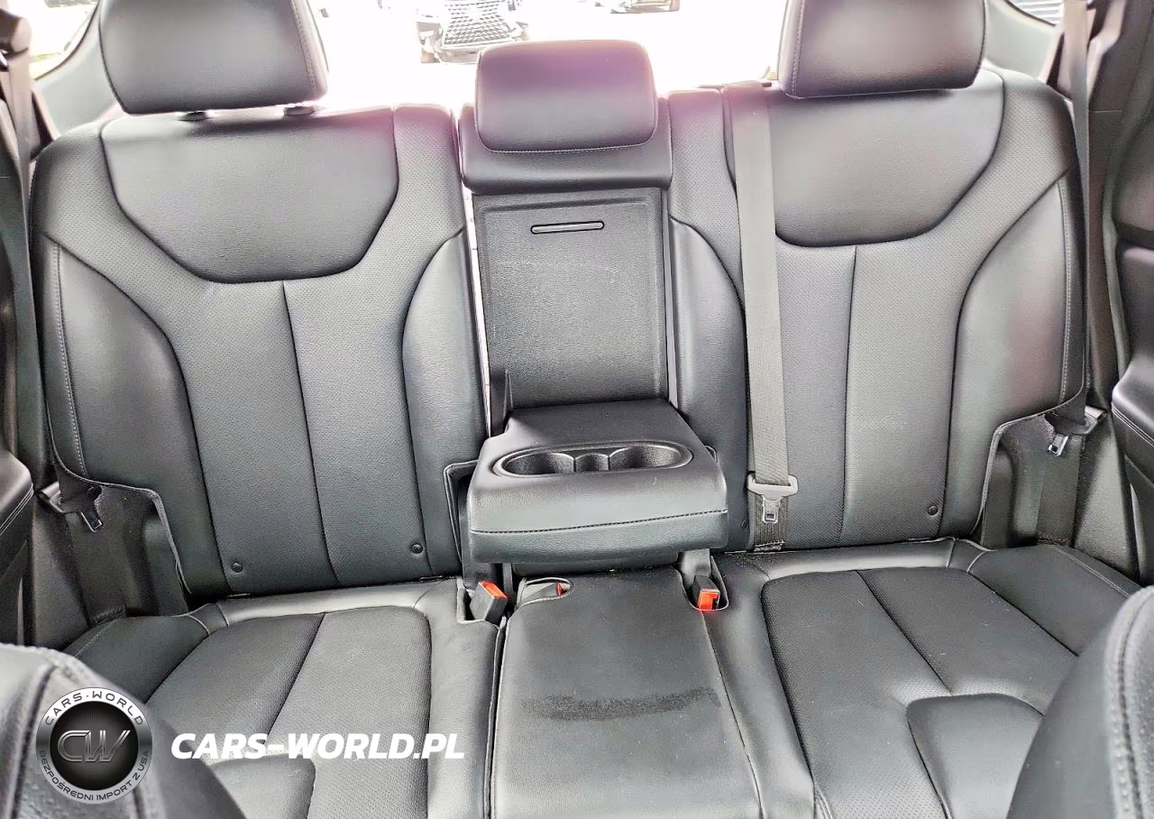 2023 Hyundai Santa Fe Sel Premium VIN:5NMS3DA10PH014439 - 10
